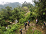 Trekking Colombia a Ciudad Perdida, guida alla giungla